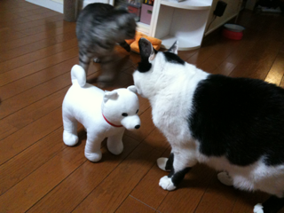 image-201004120154951.png